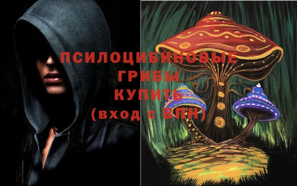 2c-b Иннополис