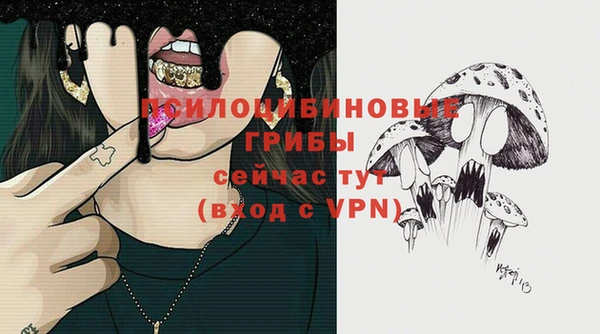 2c-b Иннополис