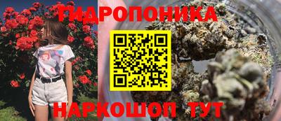 спиды Краснодар