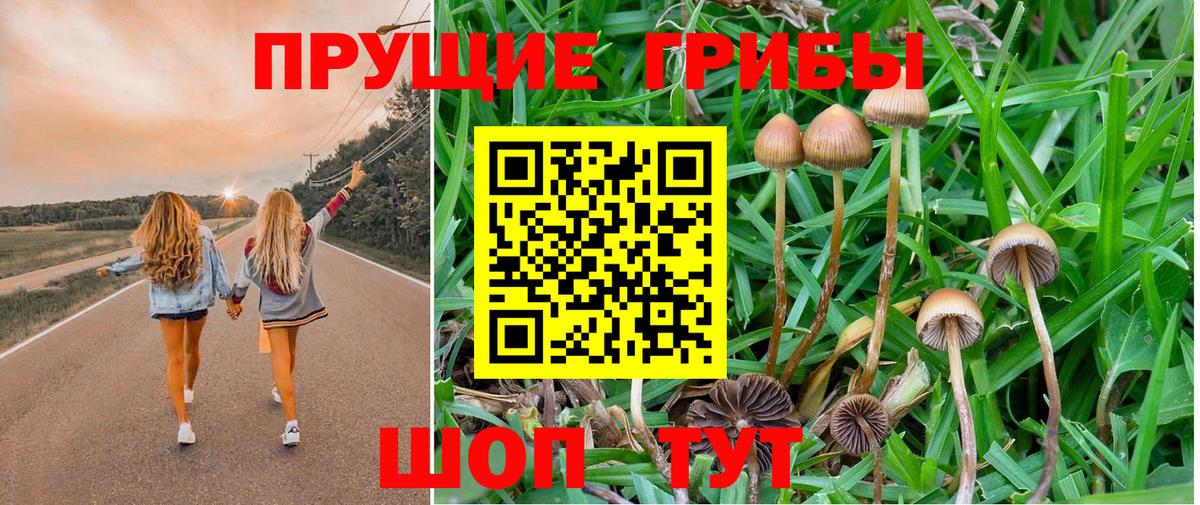 купить наркоту  Псилоцибиновые грибы Cubensis  Вход с VPN  Ишим 
